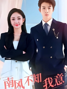 短剧南风不知我意海报