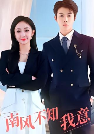 短剧南风不知我意海报