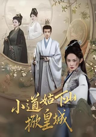 短剧小道姑下山掀皇城海报