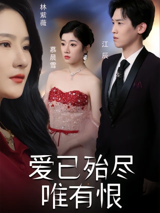 短剧爱已殆尽唯有恨海报