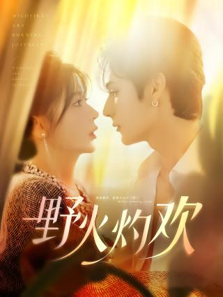 短剧野火灼欢海报