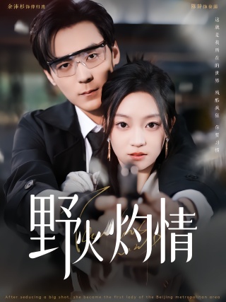 短剧野火灼情海报