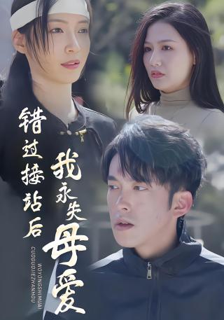 短剧错过接站后我永失母爱海报
