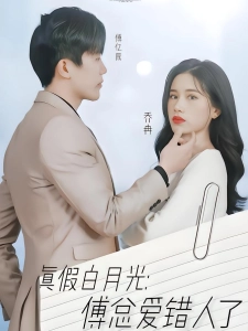短剧真假白月光：傅总你爱错人了海报