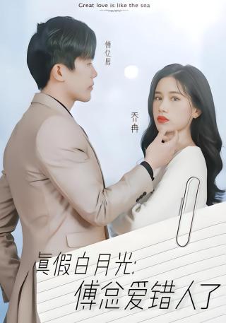 短剧真假白月光：傅总你爱错人了海报