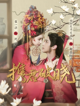 短剧携君破晓海报