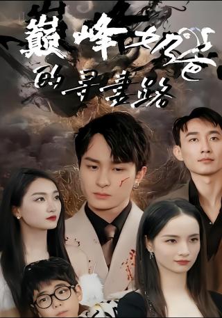 短剧巅峰奶爸的寻妻路海报