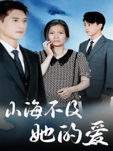 短剧山海不及她的爱海报