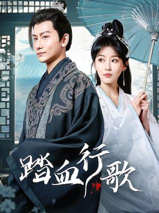 短剧踏血行歌海报