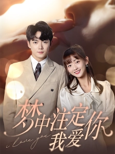 短剧梦中注定我爱你海报