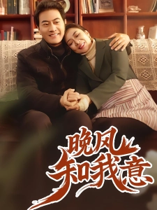 短剧晚风知我意海报