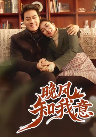 短剧晚风知我意海报