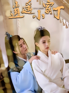 短剧逍遥小家丁海报