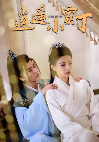 短剧逍遥小家丁海报