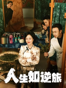 短剧人生如逆旅海报