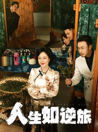 短剧人生如逆旅海报