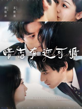 短剧暗恋有迹可循海报