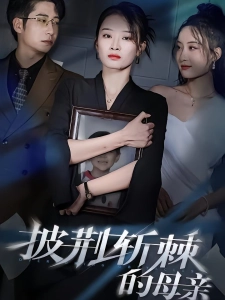 短剧披荆斩棘的母亲海报