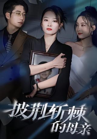 短剧披荆斩棘的母亲海报