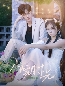 短剧小院时光海报