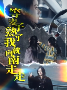 短剧等麦子熟了我就向南走走海报