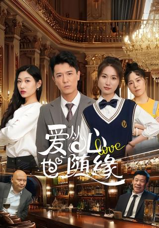 短剧爱从心也随缘海报