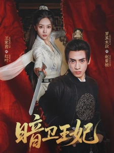 短剧暗卫王妃海报