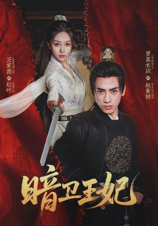 短剧暗卫王妃海报