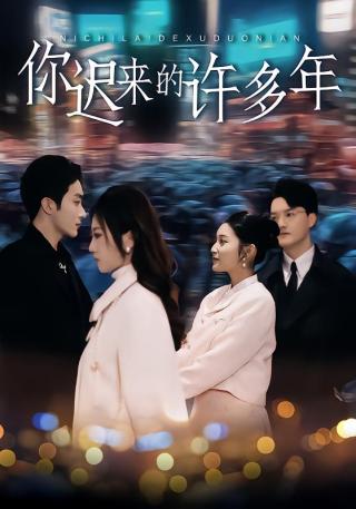短剧你迟来的许多年海报