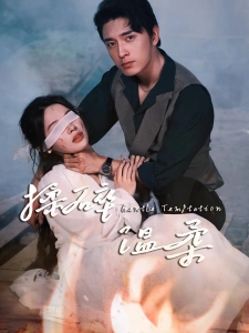 短剧揉碎温柔海报