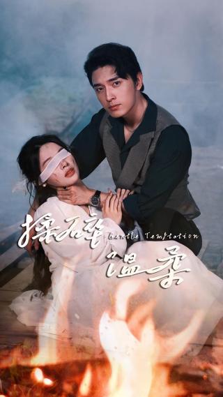 短剧揉碎温柔海报