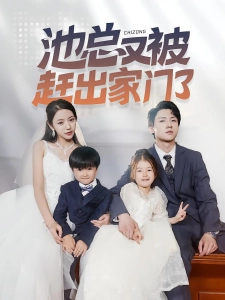 短剧池总又被赶出家门了海报