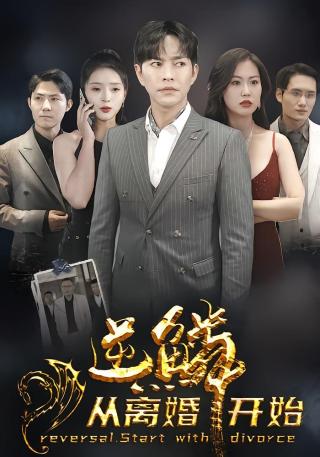 短剧逆鳞从离婚开始海报