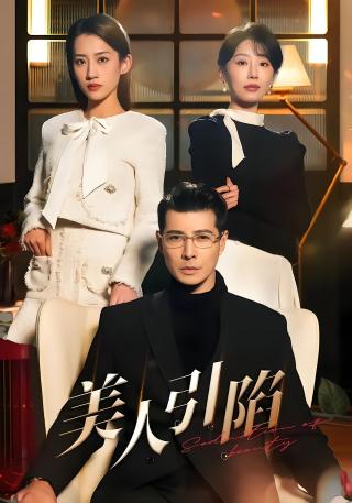 短剧美人引陷海报