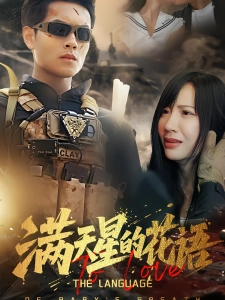 短剧满天星的花语海报