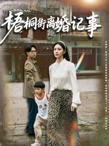 短剧梧桐街离婚记事海报