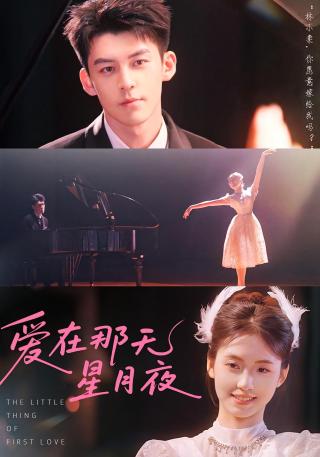 短剧爱在那天星月夜海报