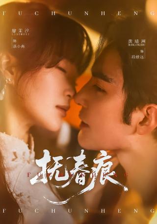 短剧抚春痕海报