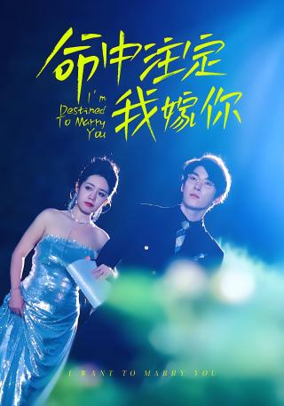 短剧命中注定我嫁你海报