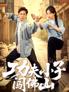 短剧功夫小子闯佛山海报