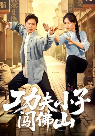 短剧功夫小子闯佛山海报