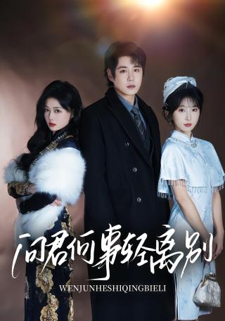 短剧问君何事轻离别海报