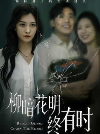 短剧柳暗花明终有时海报