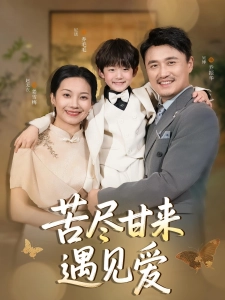 短剧苦尽甘来遇见爱海报