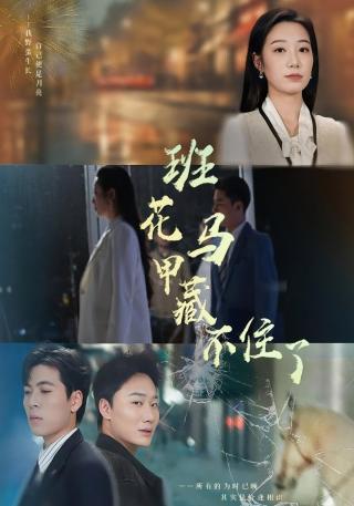 短剧班花马甲藏不住了海报