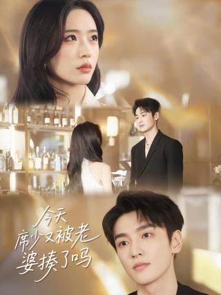 短剧今天席少又被老婆揍了吗海报