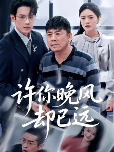 短剧许你晚风却已远海报