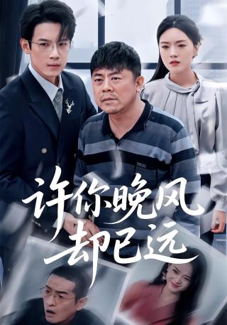 短剧许你晚风却已远海报