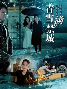 短剧青雪满禁城海报