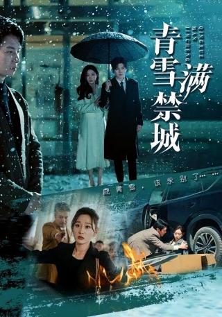 短剧青雪满禁城海报